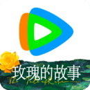 宁波幻想